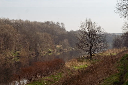 At Dalmarnock.