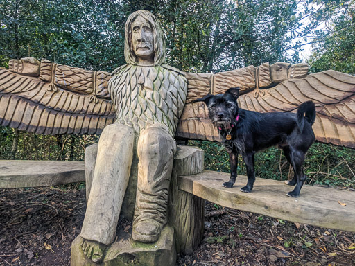 A small black terrier dog on a walk at Stirling.