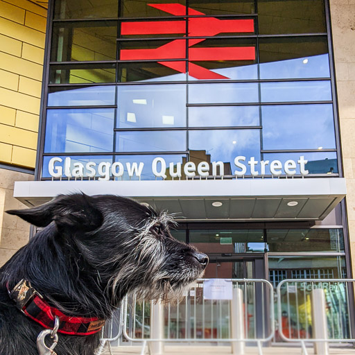 A small black terrier dog at Glasgow Queen Street Station.