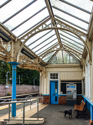 A small black terrier dog at Laurencekirk Station.