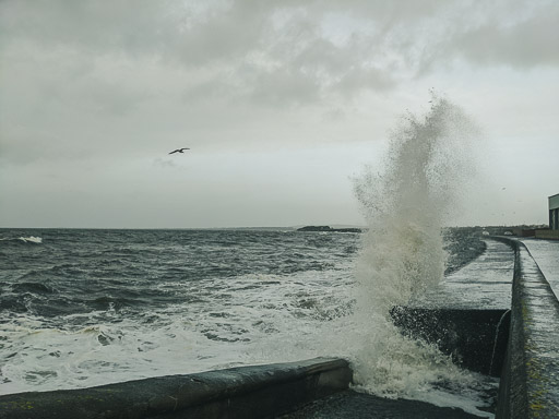 Between Newton-On-Ayr and Prestwick Town.