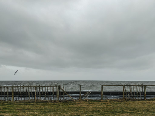 Between Newton-On-Ayr and Prestwick Town.