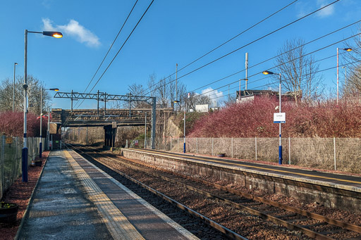 Carmyle Station.