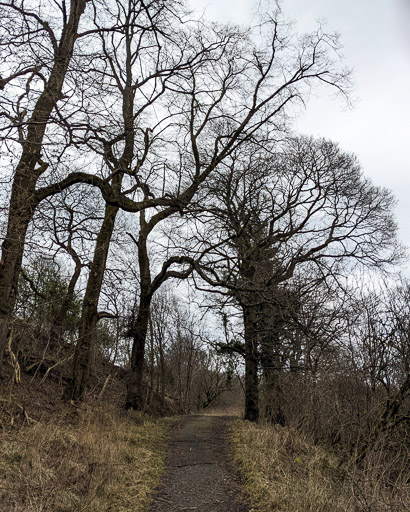 Between Kirkwood and Bargeddie.