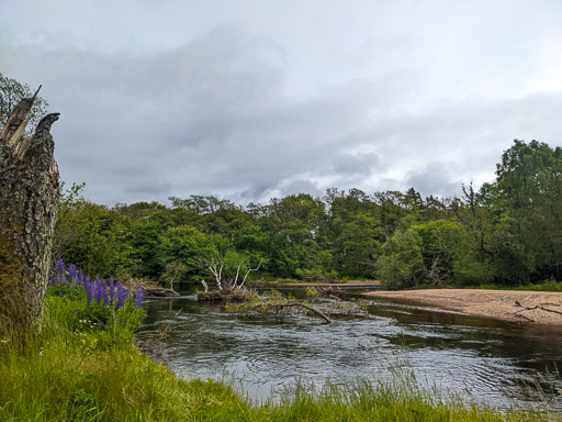 At Aviemore.