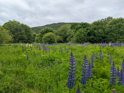 At Aviemore.