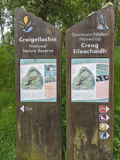 At Aviemore.