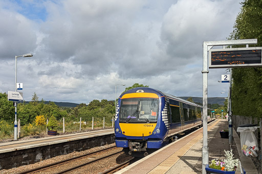170414 at Carrbridge.
