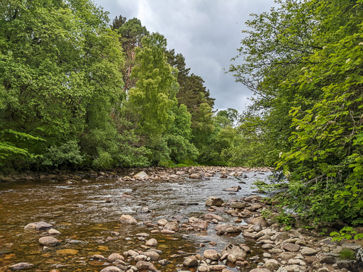 At Carrbridge.