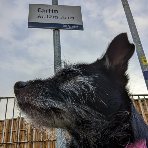 A small black terrier dog at Carfin Station.