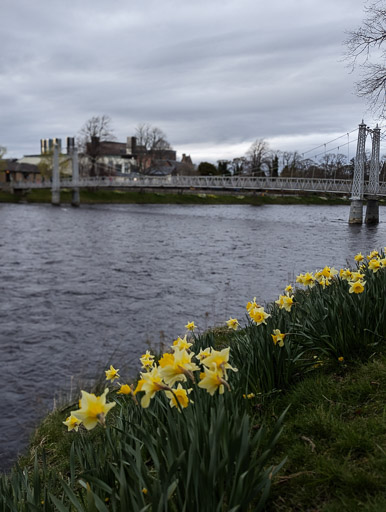 At Inverness.