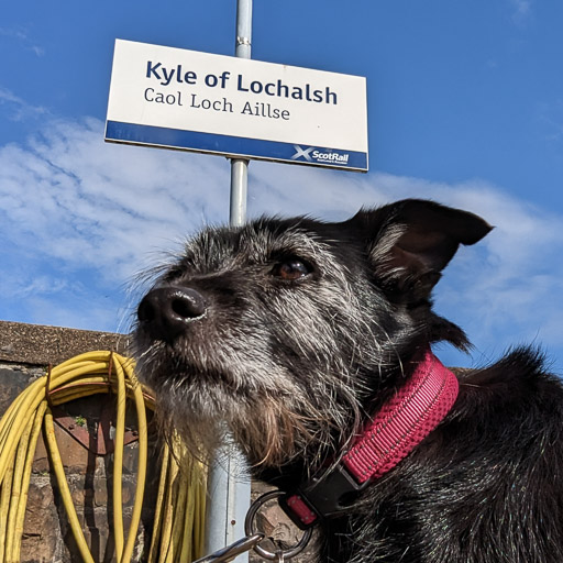 A small black terrier dog at Kyle Of Lochalsh Station.