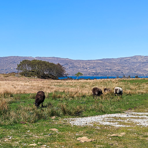 At Duirinish.