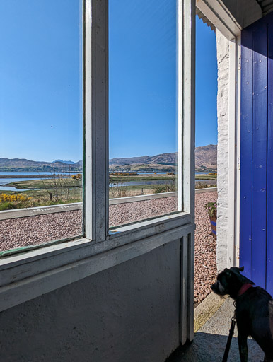 A small black terrier dog at Attadale Station.