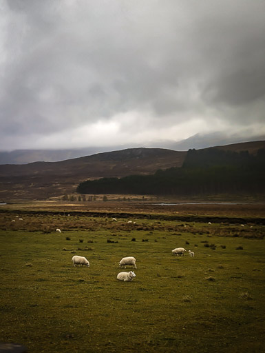 Between Inverness and Achnasheen.