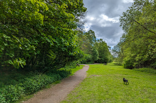 A small black terrier dog on a walk between Balloch and Dalreoch.