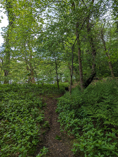 Between Balloch and Dalreoch.