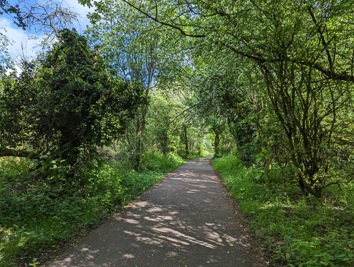 Between Balloch and Dalreoch.