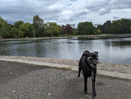 At Victoria Park.