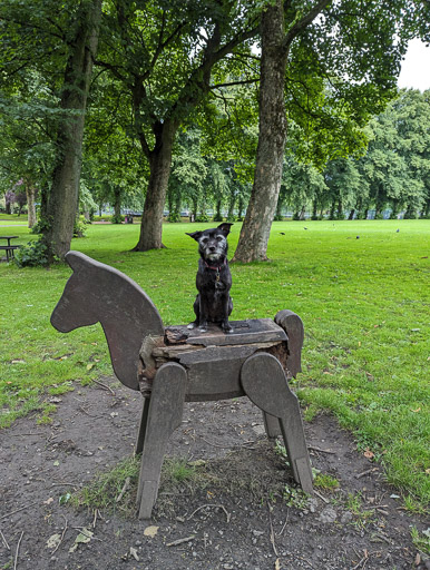 A small black terrier dog on a walk at Victoria Park.