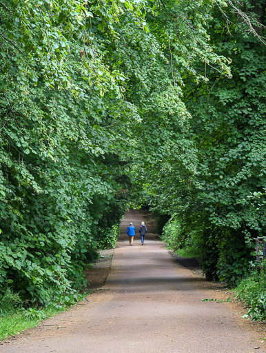 Between Linn Park and Cathcart.