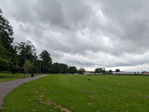 A small black terrier dog on a walk at Alloa.