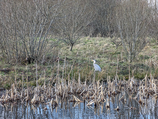 At Kirkhill.