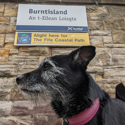 A small black terrier dog at Burntisland Station.