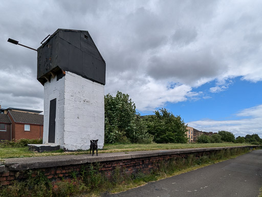 A small black terrier dog on a walk between Yoker and Partick.