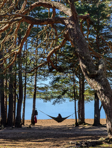 At Loch Morlich.