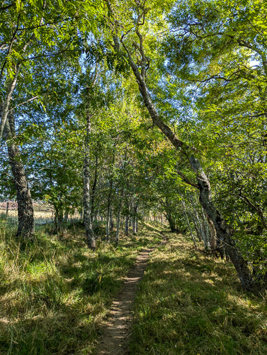 At Newtonmore.