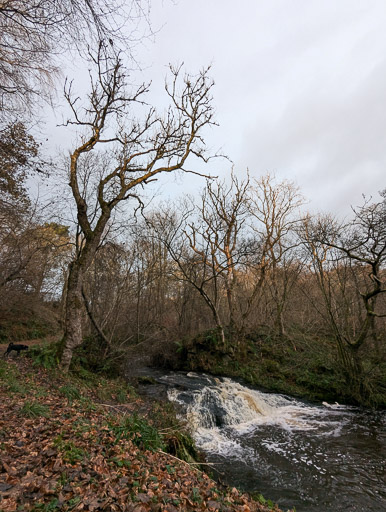 At Greenfaulds.