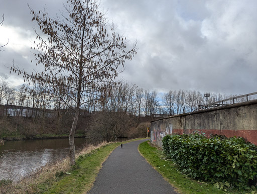 A small black terrier dog on a walk at clyde walkway.