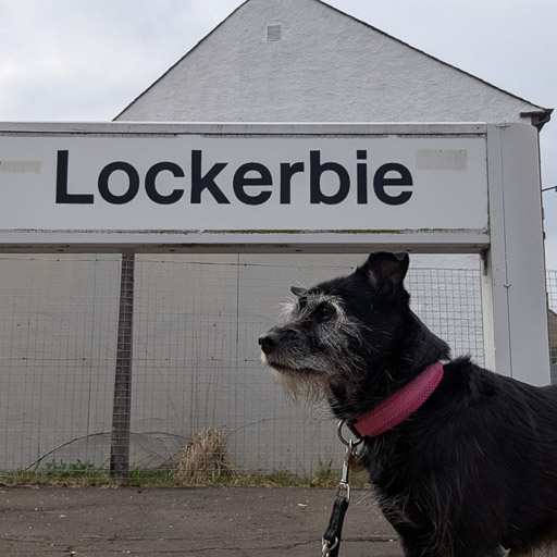 A small black terrier dog at Lockerbie Station.