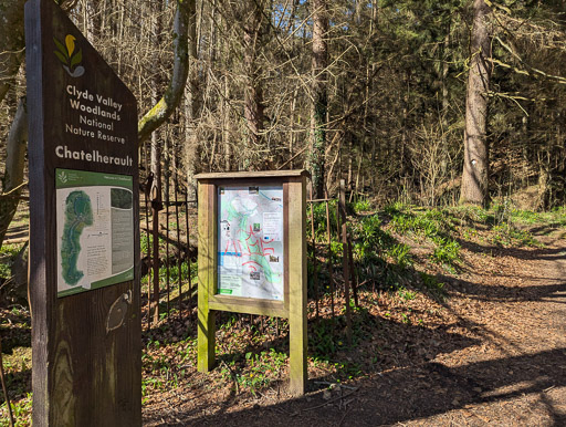 Between Merryton and Chatelherault.