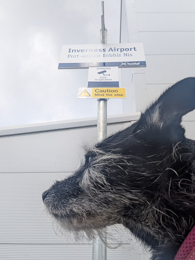 A small black terrier dog at Inverness Airport Station.