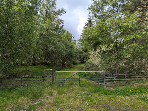 At Lairg.