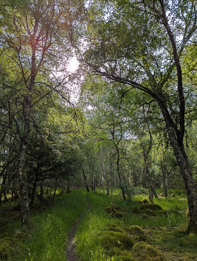At Lairg.