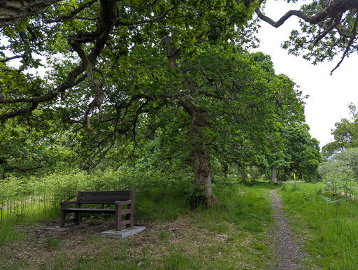 At Ardgay.