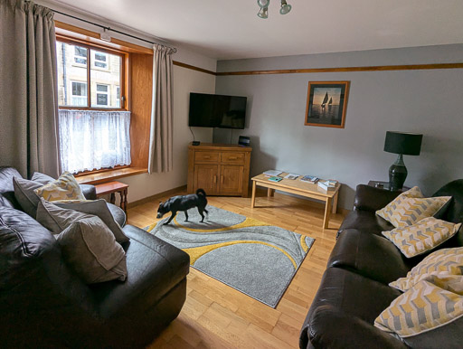 A small black terrier dog  at Thurso.