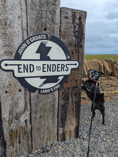 A small black terrier dog on a walk at John o' Groats.