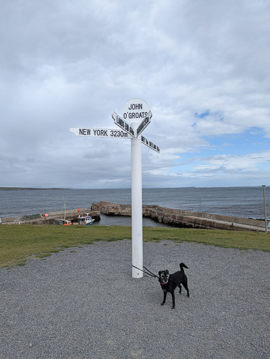 A small black terrier dog on a walk at John o' Groats.