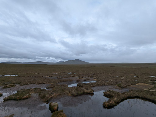 At Forsinard.