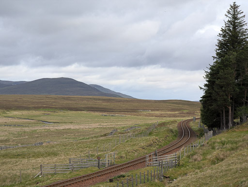 At Kinbrace.