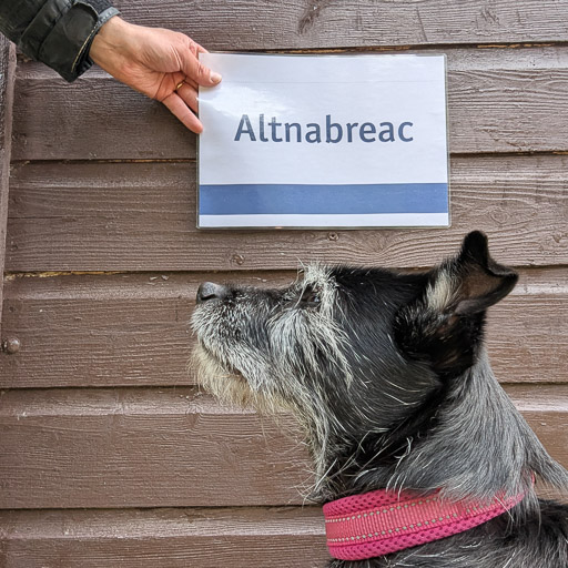 A small black terrier dog at Altnabreac Station.