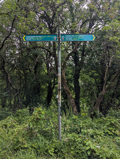 Between Dalmarnock and Cambuslang.