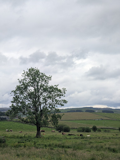 At New Cumnock.